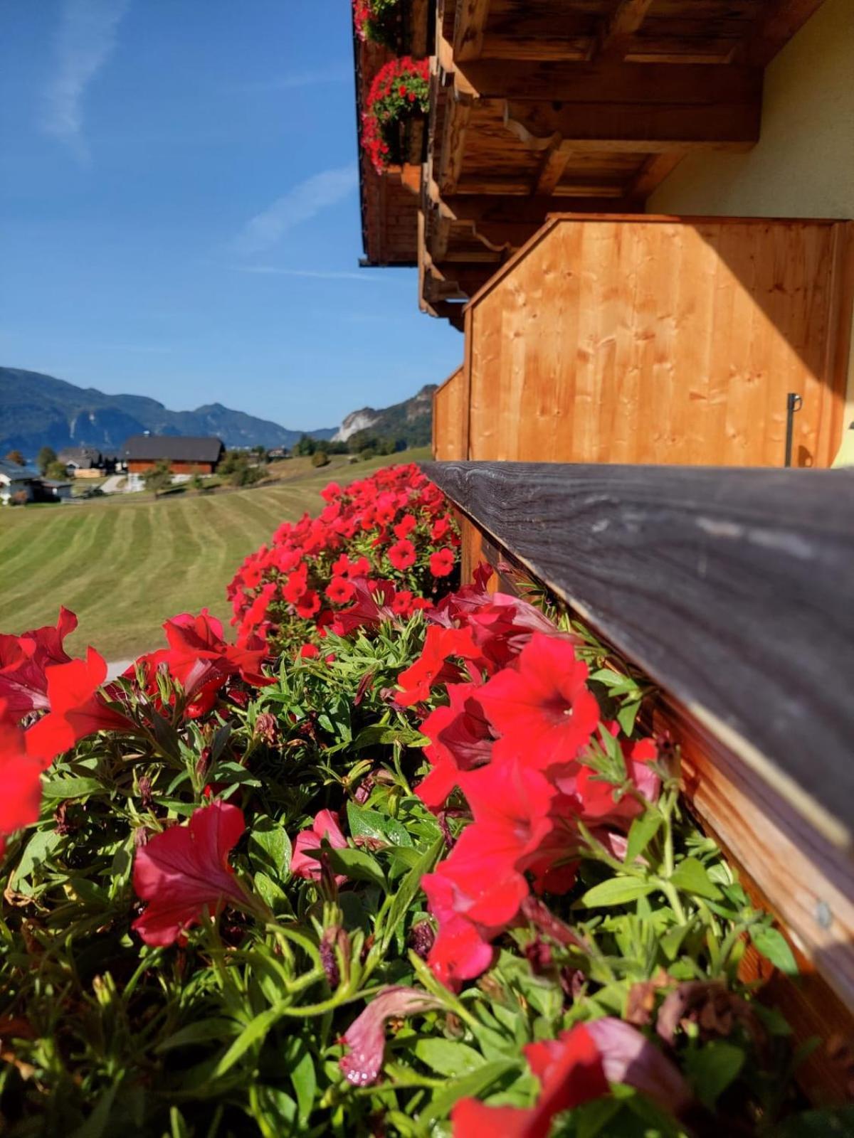 Haus Hoedlmoser Sankt Wolfgang im Salzkammergut Екстер'єр фото